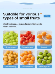 Automatic Electric Fruit and Grape Peeler Machine - Androf