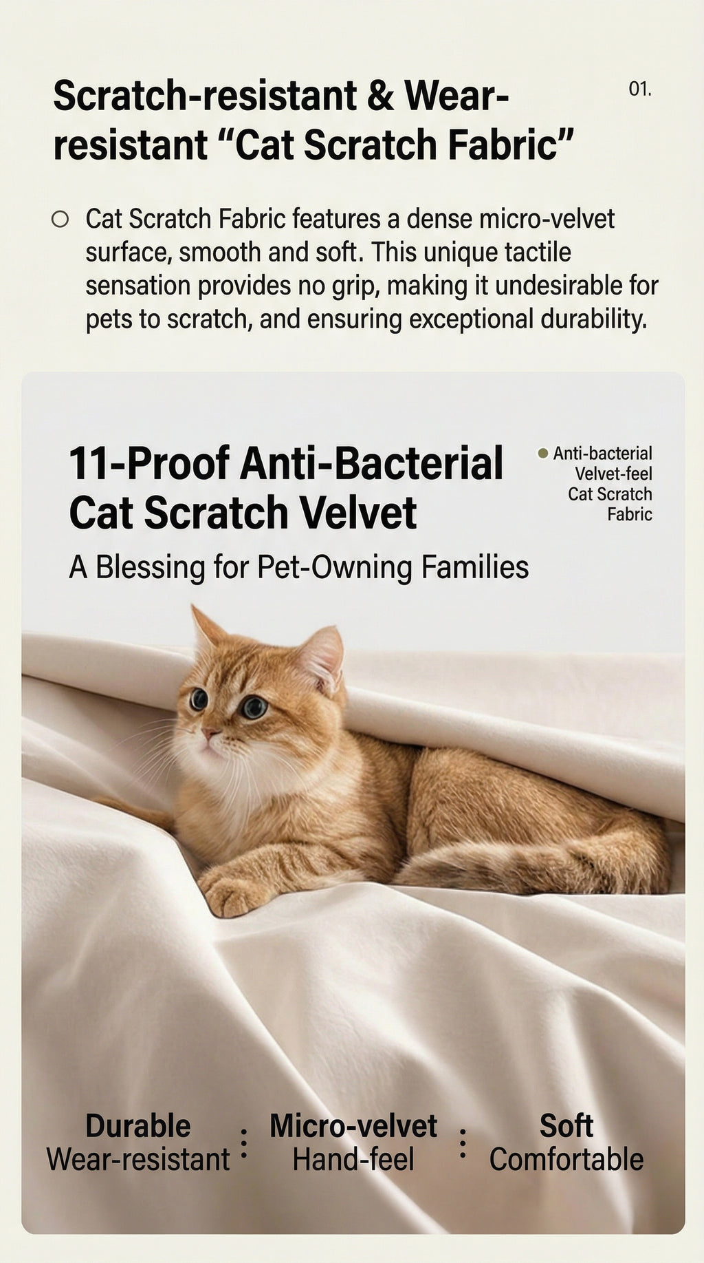 Electric Sofa Bed (Remote + Voice Control)