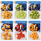 Automatic Electric Fruit and Grape Peeler Machine - Androf