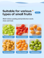 Automatic Electric Fruit and Grape Peeler Machine - Androf